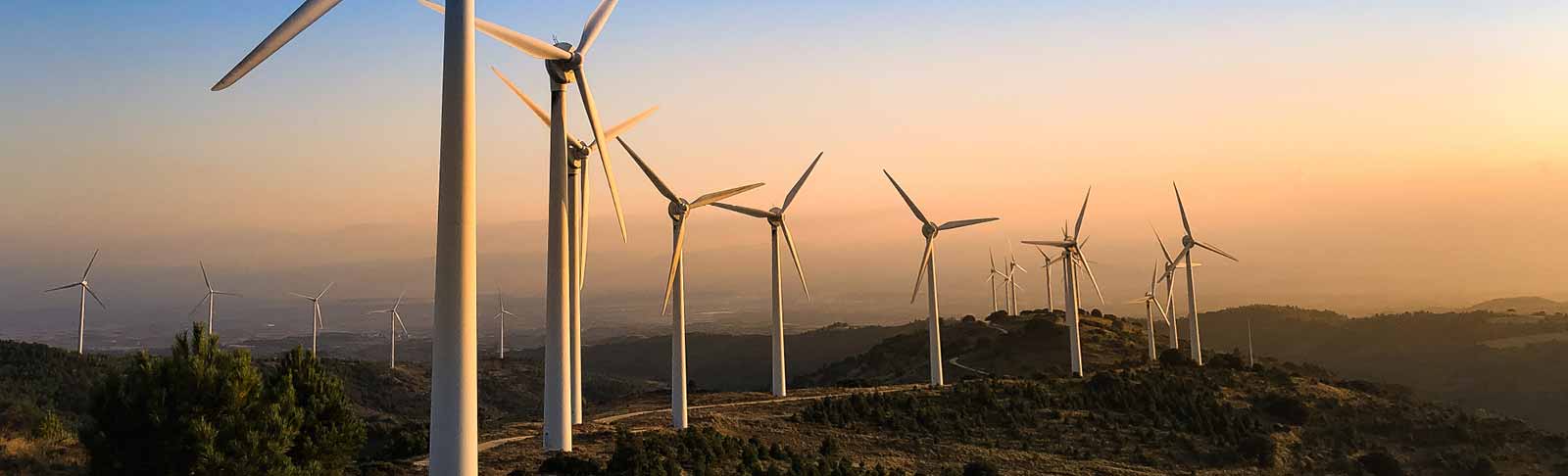 Partnering EDF Renewables to boost SA’s Renewable Energy Sector